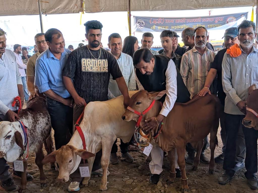 Haroli Festival Animal Husbandry Departments Exhibition and Special Activities Steal the Spotlight